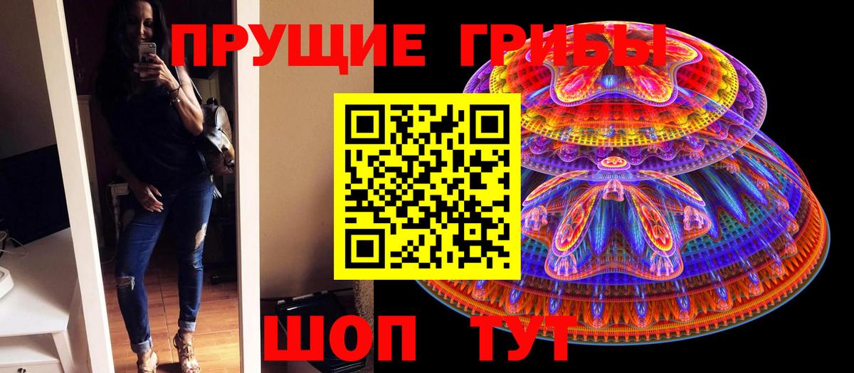 Псилоцибиновые грибы Psilocybe  Псилоцибиновые грибы Psilocybine cubensis  Чистополь  Вход с VPN 