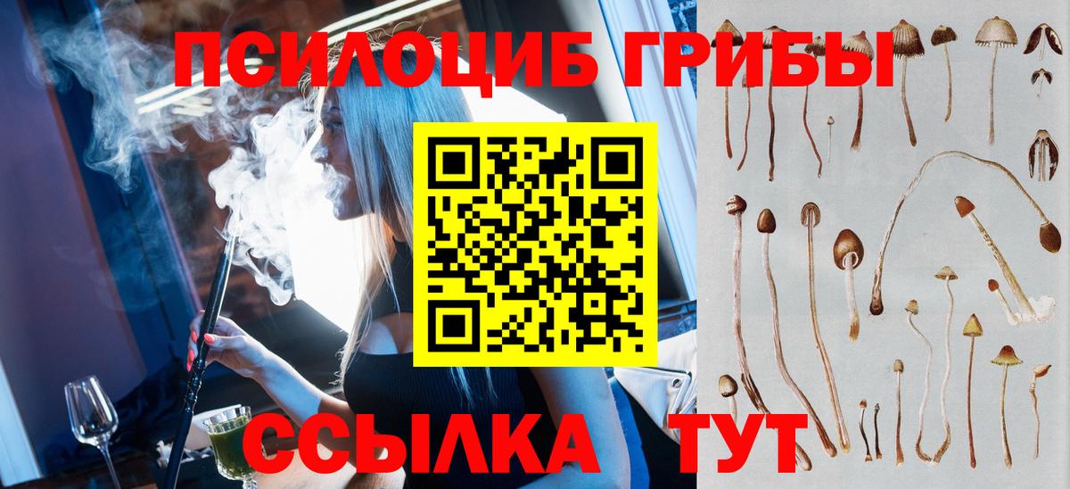 Псилоцибиновые грибы Cubensis Чистополь